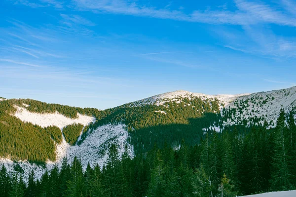 Karlı tepeleri ve yeşil ormanları aydınlatan günbatımı parlaklığı
