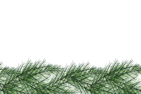 Chrirstmas Fir と陽気なクリスマスと幸せな新年のグリーティング カード白と緑の色のベクトル図 — ストックベクタ