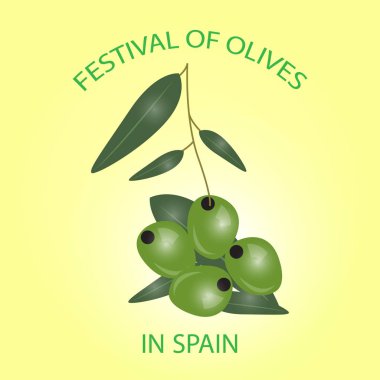 Beyaz arka plan üzerinde izole yeşil zeytin dalı. Zeytinyağı, kozmetik, sağlık ürünleri için tasarım. Vektör çizim