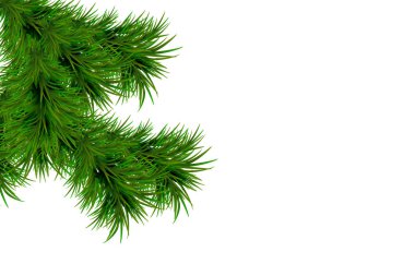 Neşeli Noel ve mutlu yeni yıl arka plan beyaz arka plan üzerinde izole çam dalları ile. Modern tasarım. Poster, afiş, broşür, kart için evrensel vektör arka plan.