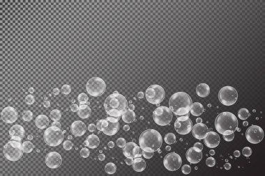 Siyah şeffaf arka plan üzerinde izole gökkuşağı yansıma kümesi ile gerçekçi sabun köpüğü. vektör çizimi