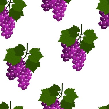 Üzüm ve yaprakları ile Seamless modeli. Düz tasarlamak vektör