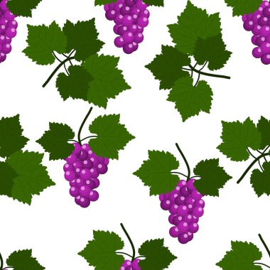 Üzüm ve yaprakları ile Seamless modeli. Düz tasarlamak vektör