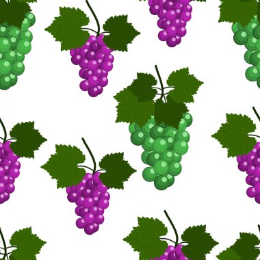 Üzüm ve yaprakları ile Seamless modeli. Düz tasarlamak vektör