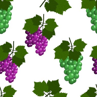 Üzüm ve yaprakları ile Seamless modeli. Düz tasarlamak vektör