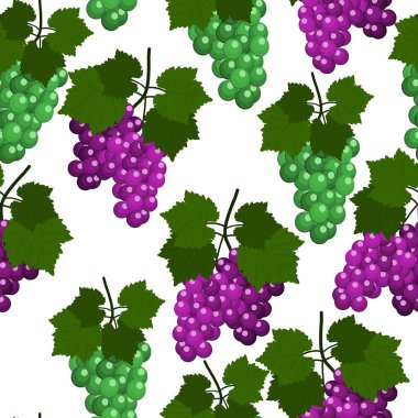 Üzüm ve yaprakları ile Seamless modeli. Düz tasarlamak vektör