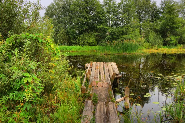 Rural, summer landscape with a wooden, collapsed bridge near a quiet, small river