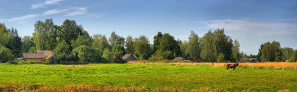 Panorama Verano Gran Formato Con Casas Pueblo Una Planta Madera — Foto de Stock