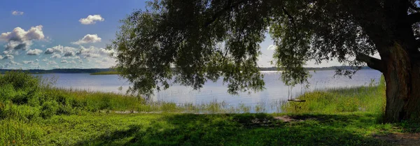 Großformatiges Sommerpanorama Mit Seilschaukeln Auf Einem Großen Baum Vor Dem — Stockfoto