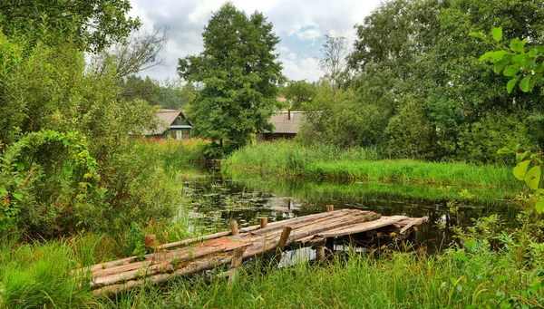 Panorama Der Dörflichen Sommerlandschaft Mit Einem Kleinen Fluss Und Einer — Stockfoto