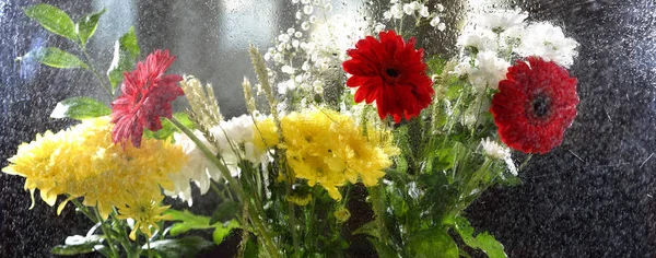Panorama amplo angular com flores atrás do vidro com gotas de chuva — Fotografia de Stock