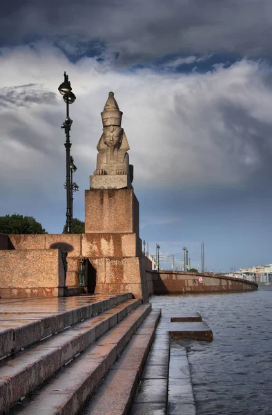 Sfinks Nabrzeżu Uniwersytetu Sankt Petersburgu Deszczu — Zdjęcie stockowe
