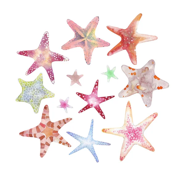 Conjunto Coloridas Estrellas Mar Aisladas Blanco — Foto de Stock