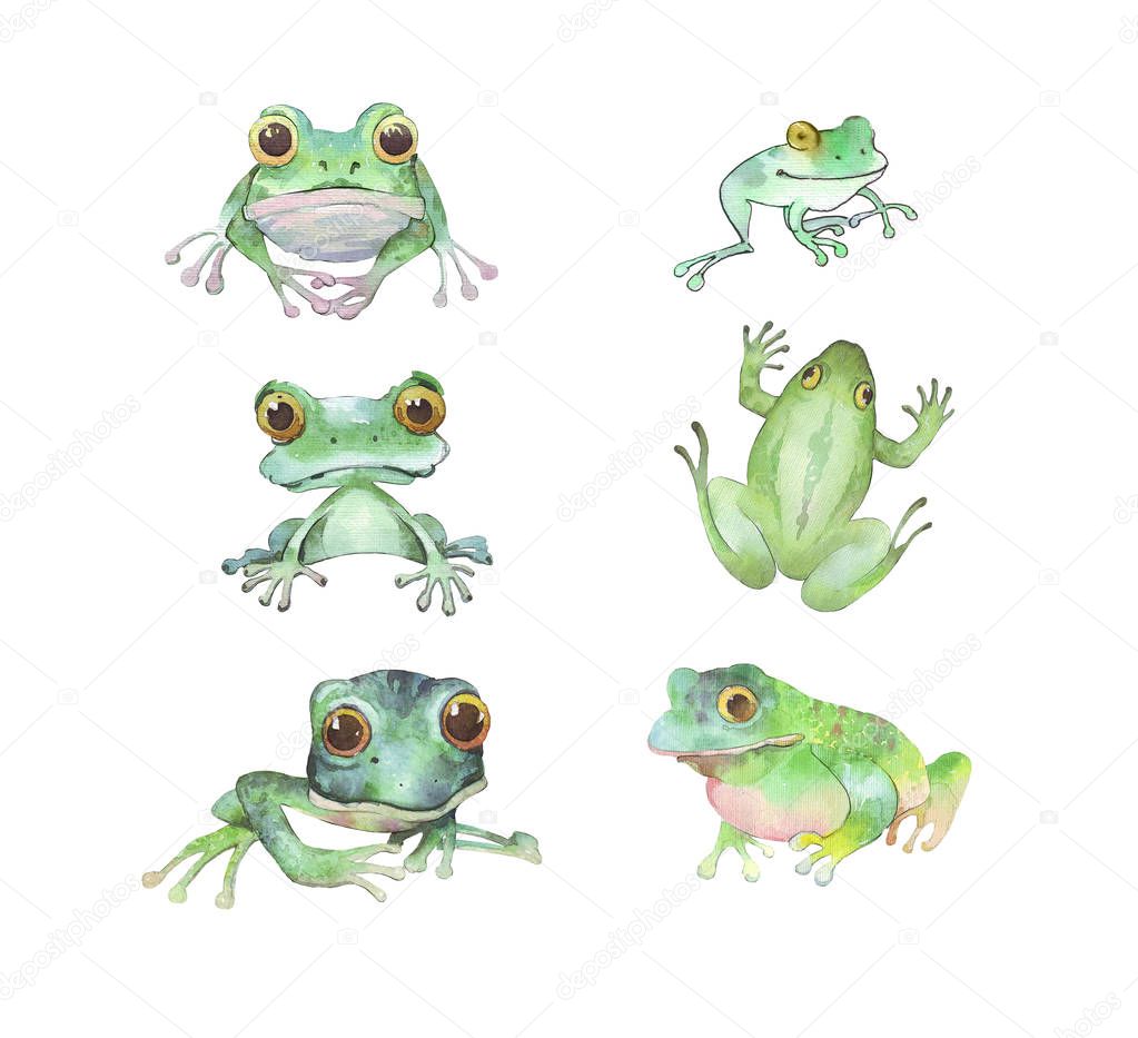 set of watercolor frogs