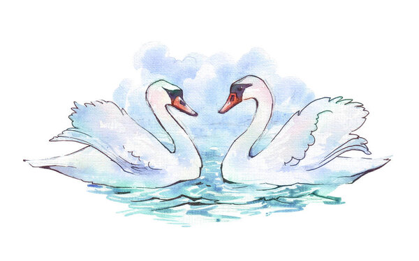 Swans on blue lake water watercolor