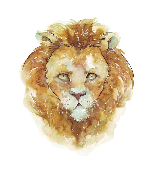 Watercolor Lion Portrait Isolated White — Stock Photo, Image