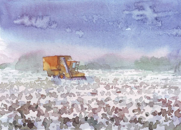 収穫の綿の水彩イラストを組み合わせる — ストック写真