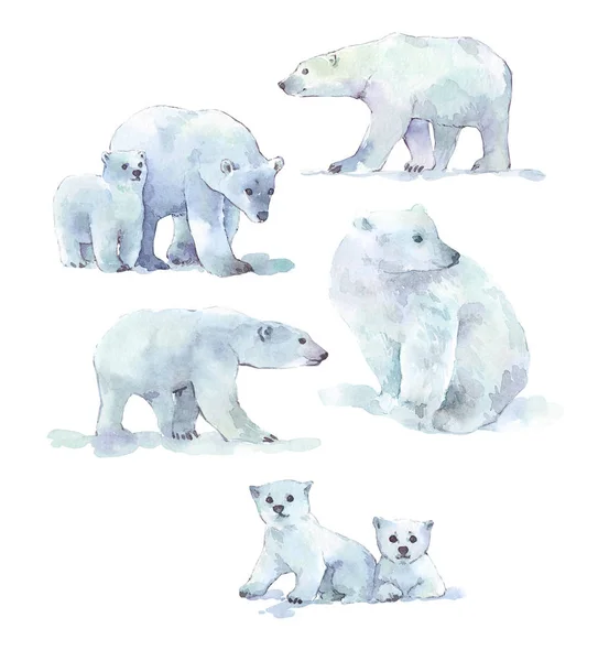 Oso polar acuarela ilustración — Foto de Stock