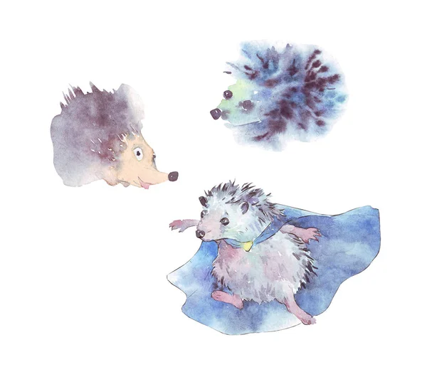 Cartoon Hedgehog aquarel illustratie — Stockfoto