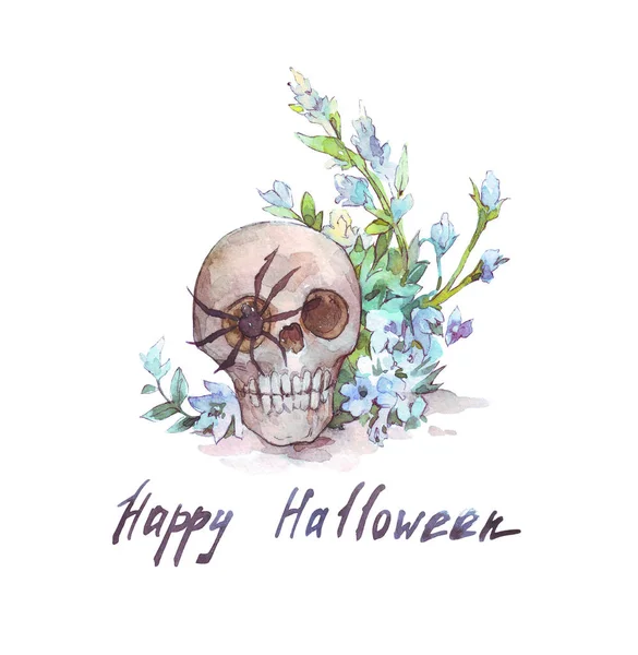 göz bir örümcek ile halloween kafatası