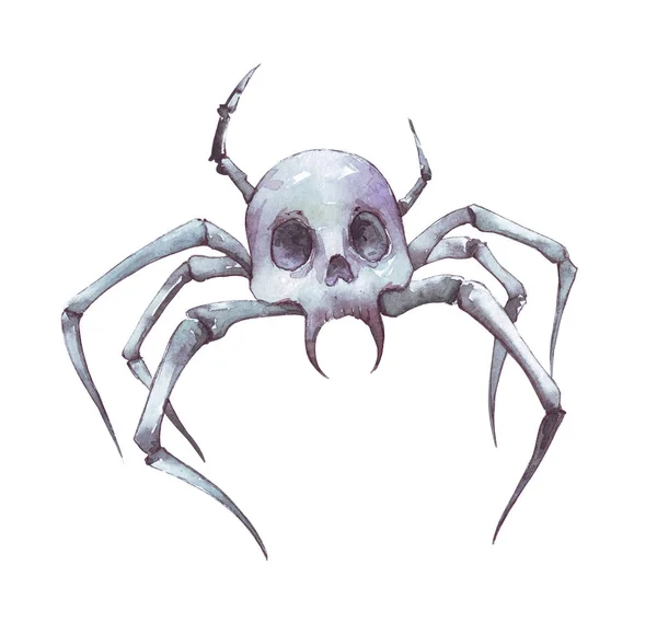 Arachnid spooky skull illustration — Stock Photo, Image
