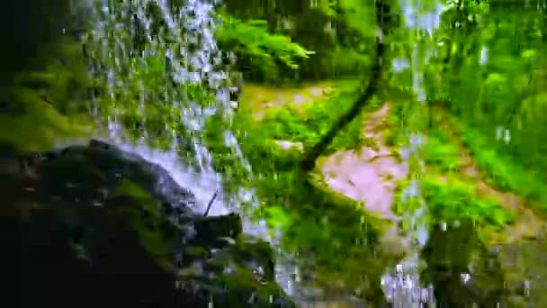 Malerischen Wasserfall "Wünsche" in den Bergen der Region Krasnodar. schöne kaukasusberge in russland. — Stockvideo