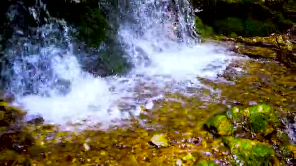 Pittoreske waterval "verlangens" in de bergen van Krasnodar regio. Prachtige Kaukasus bergen in Rusland. — Stockvideo