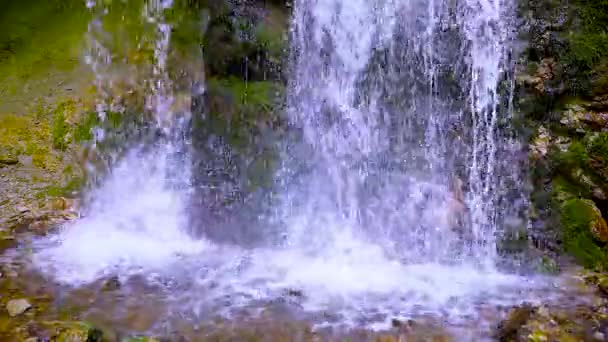 Malowniczy wodospad "pragnienia" w górach Krasnodar regionu. Piękne góry kaukaskie w Rosji. — Wideo stockowe