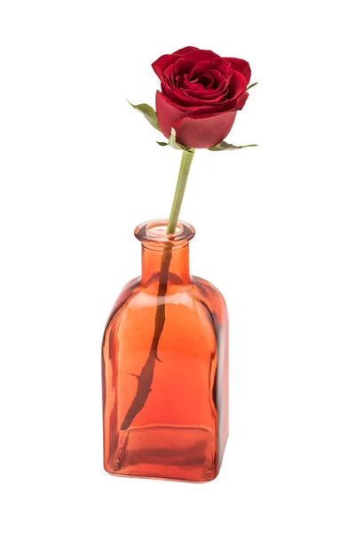 带红玫瑰的装饰瓶 — 图库照片