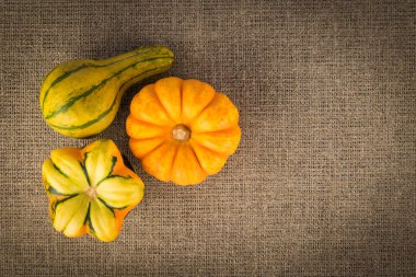 Keten zemin, sonbahar konsepti üzerine üç dekoratif kabaklar