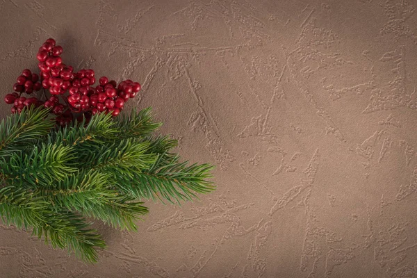 Zusammensetzung von Weihnachtsbaumzweig und roten Beeren — Stockfoto