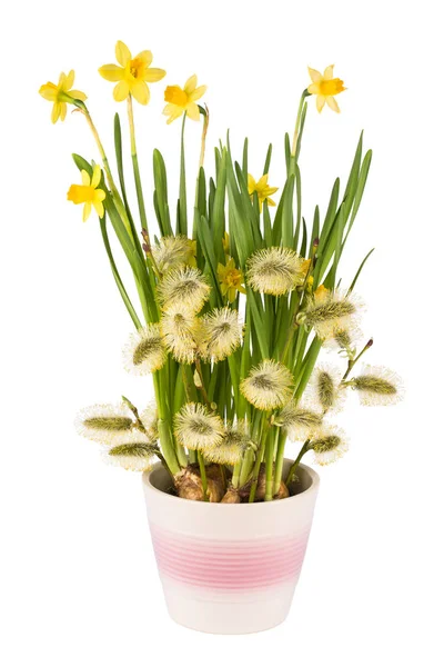 Composição floral da primavera com flores narciso e ramos de salgueiro de cabra — Fotografia de Stock
