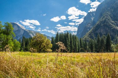 Güzellik Yosemite Milli Parkı'nda-Ca, Usa