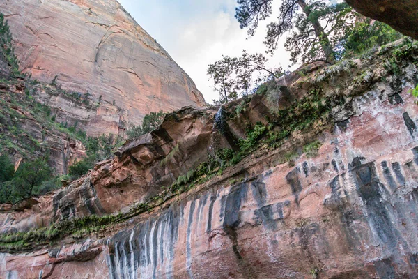 Zion National Park yürüyüş