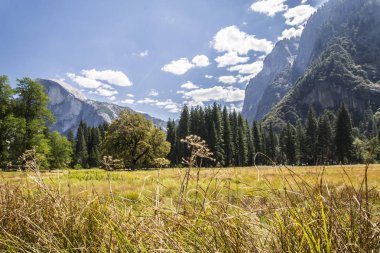 Güzellik Yosemite Milli Parkı'nda-Ca, Usa