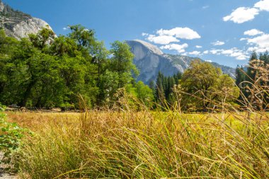 Güzellik Yosemite Milli Parkı'nda-Ca, Usa