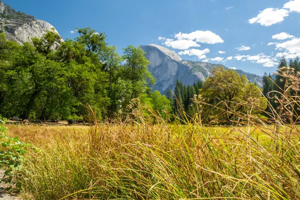 Beauty Yosemite National Park Usa — Stock Photo, Image