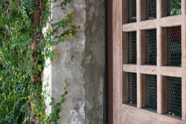 Geleneksel ahşap kapı. Şebeke desenli pencere. Sarmaşık kaplı duvar kırsal atmosfer yaratıyor. Tayvan mirası alanında doğal hava durumu ve tarihi cazibe sergiliyor..