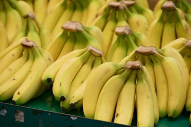 Yeşil saplı ve doğal kahverengi benekli büyük taze sarı muz yığını, geleneksel pazar ortamında karanlık yüzeyde kaliteli meyve kalitesi gösteriyor..