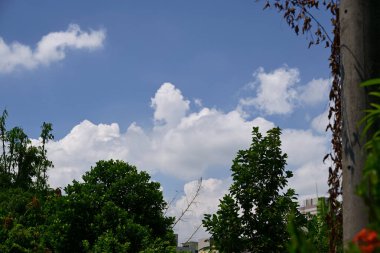 Parlak mavi gökyüzü ve beyaz kümülüs bulutları altında yemyeşil ağaçlarla sakin Tayvan manzarası, banliyö ortamında görülebilen elektrik hattı.