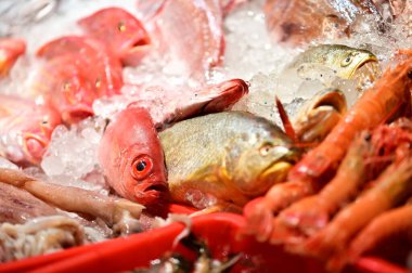 Kırmızı balık, gümüş balık, kırmızı karides ve mürekkep balığı da dahil olmak üzere çeşitli taze deniz ürünleri geleneksel sulak pazarda, otantik balıkçılık endüstrisinde ezilmiş buz üzerinde sergilenmektedir..