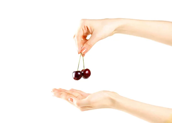 Die Weibliche Hand Hält Zwei Rote Kirschbeeren Isoliert Auf Weißem — Stockfoto