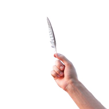 Bir kuş tüyü tutan el. Yakın çekim. Beyaz arka plan üzerinde izole