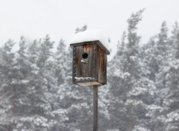 Birdhouse Inverno Casa Para Pássaros Sob Neve Fechar — Fotografia de Stock