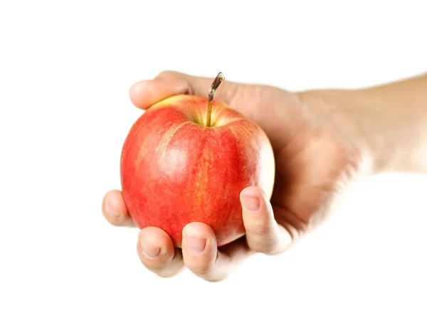 Mão segurando uma maçã vermelha. Fecha. Isolado sobre fundo branco — Fotografia de Stock