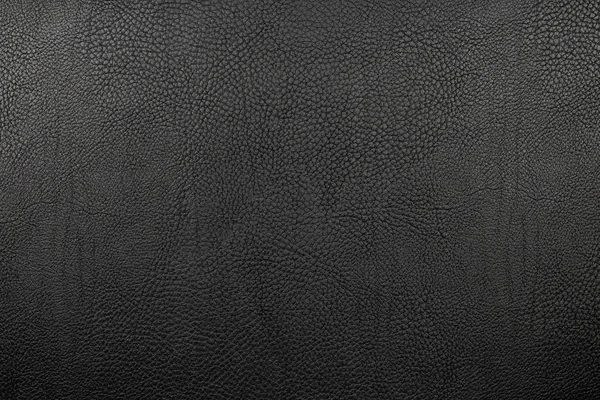 Texture cuir noir. Gros plan — Photo