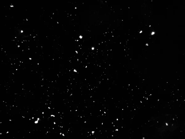 Filmación de nieve cayendo. Nieve sobre fondo negro. De cerca. — Foto de Stock