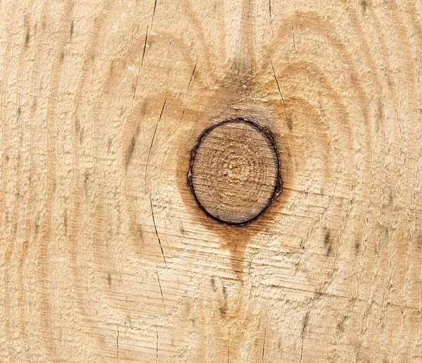 En knut i ett ljust trä bräde. En tallknut. Närbild — Stockfoto