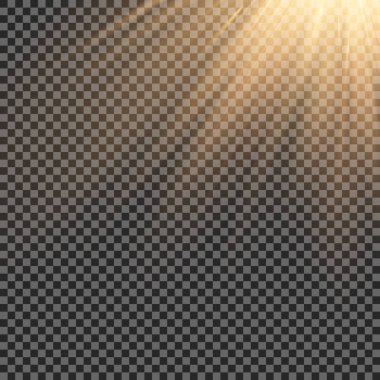Işık, ışık ve sihirli parıltılarla özel efekt oluşturur. Şeffaf vektör ışık efekti seti, patlama, sim, kıvılcım, güneş ışığı.