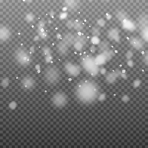 Winter Mit Schnee Transparenten Hintergrund — Stockvektor